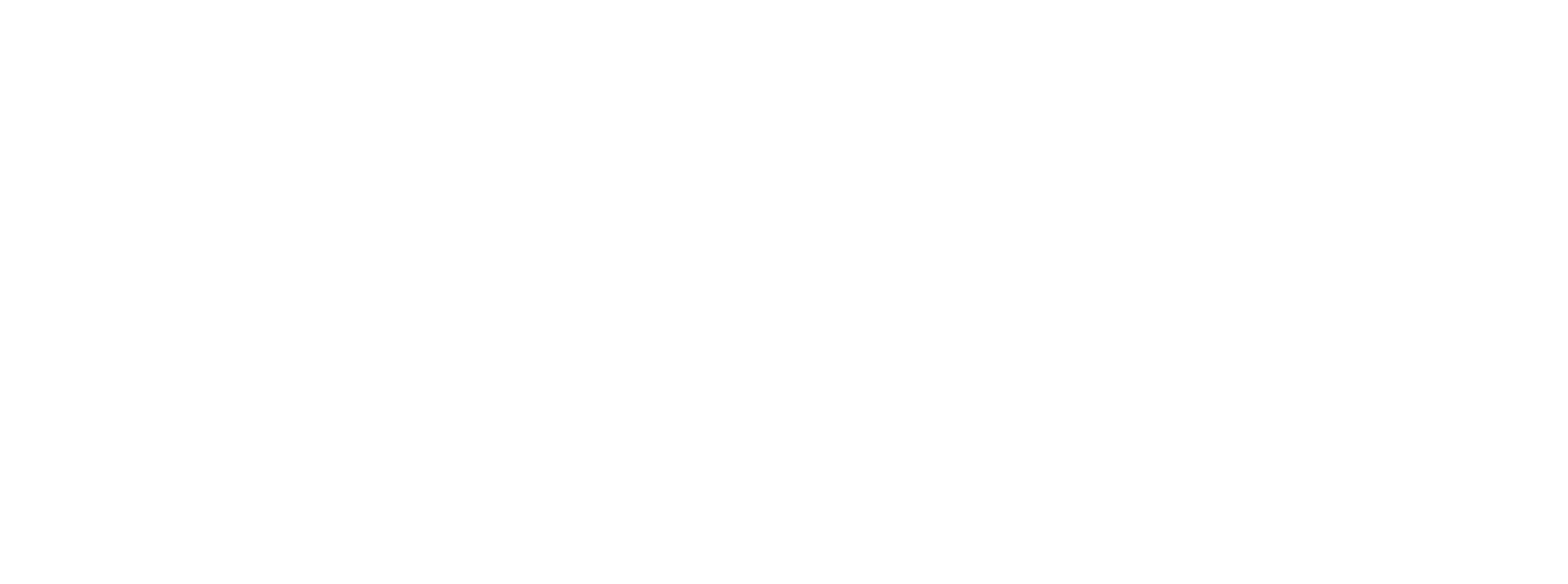 Inmigravisa